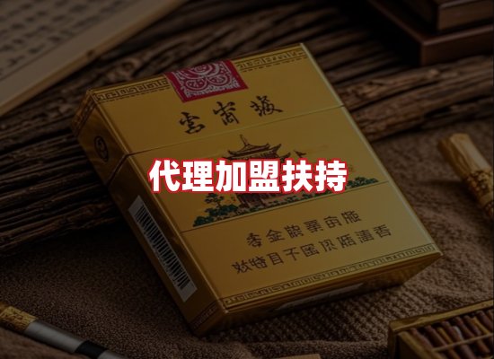专业团队